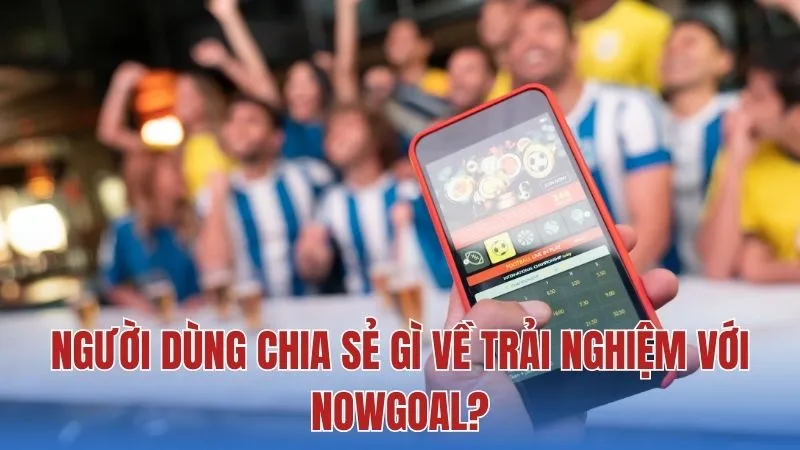 Những đánh giá thực tế về chất lượng nền tảng
