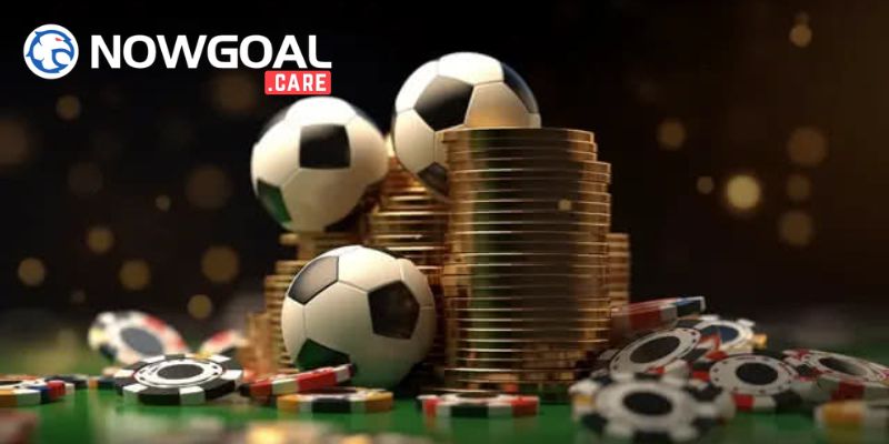 Những sản phẩm nổi bật nhất tại nền tảng thể thao